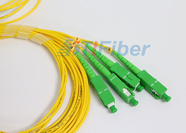 Тип Сплиттер оптического кабеля цифров Сплиттер оптического волокна СК/АПК 1 кс 4 коробки