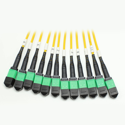 Низкие потери MPO Fanout кабель Большое количество ядра 1M 144F SMG657A1 MPO APC к MPO APC Breakout Fiber Optic Patch Cord