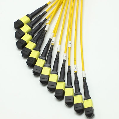 144F MTP MPO Fanout Cable SMG657A1 MPO APC к MPO APC Breakout Fiber Optic Patch Cord